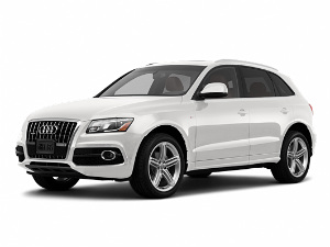 Audi's Double Strong Horns For India Audi's Double Strong Horns For India