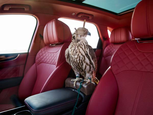Bentley Introduces Bentayga Falconry by Mulliner