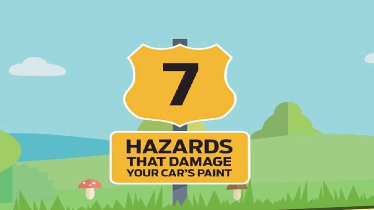 7 Things That May Damage Vehicle Paint According To Ford DriveSpark