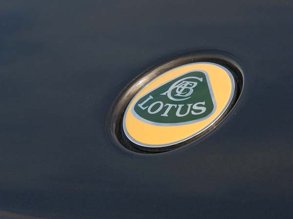 8. Lotus