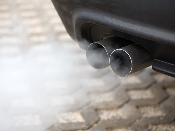 Common Car Problems Guide — Simple Enough For Even Your Dog To Understand!