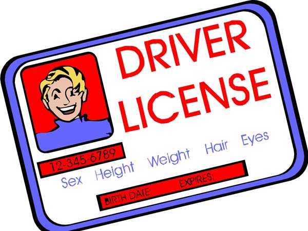 How To Get An International Driving Permit In India — Process Explained