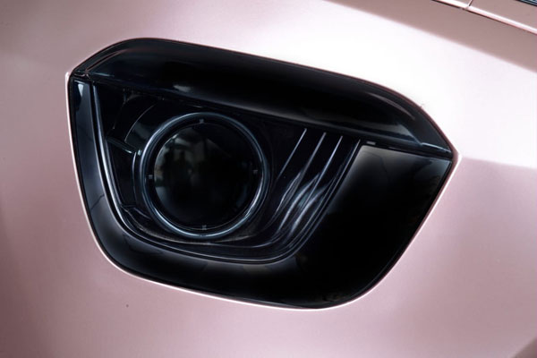 Tata Nexon Rose Gold Edition Showcased At A Dealership In Coimbatore