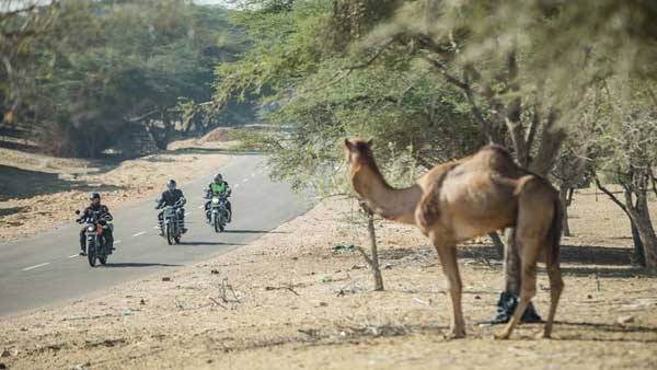 Royal Enfield Tour Of Rajasthan 2018: An Adventure with The Royal Enfield Himalayan