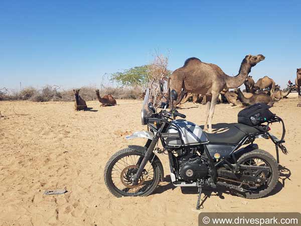 Royal Enfield Tour Of Rajasthan 2018: An Adventure with The Royal Enfield Himalayan