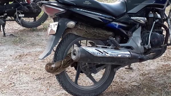 8400 Modified Bike Unicorn  Latest