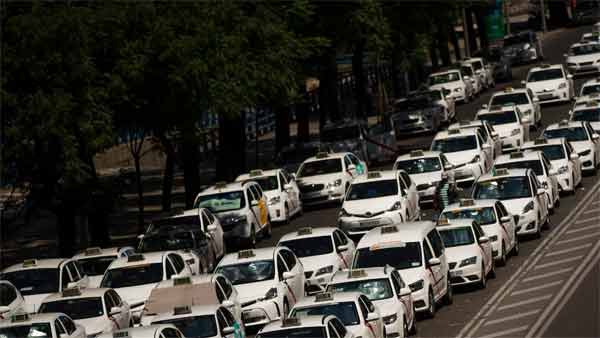 Driver’s License Application Numbers Increase: Transport Department Servers Crash