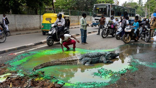 BJP MP Says Good Roads Cause More Accidents: Does It Make Sense?