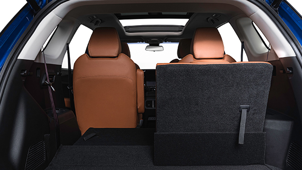 MG Hector Plus Review (First Drive): Driving Around Plus Size
