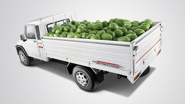 Mahindra Introduces Corona Insurance Plan For Its Bolero Pick-Up Customers: Read More To Find Out