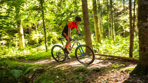 KTM Bicycles Launched In India By AlphaVector Starting At Rs 30,000: Range, Models & Other Details