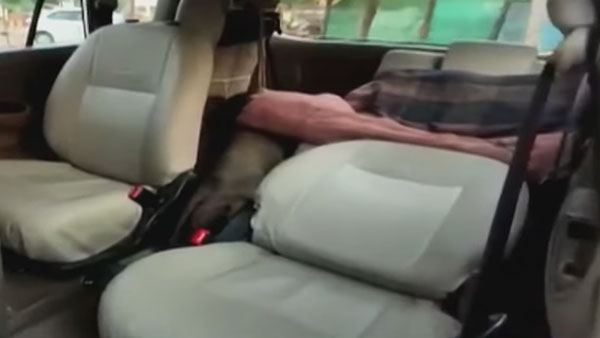 Toyota Innova Converted Into Ambulance With Oxygen In Madhya Pradesh