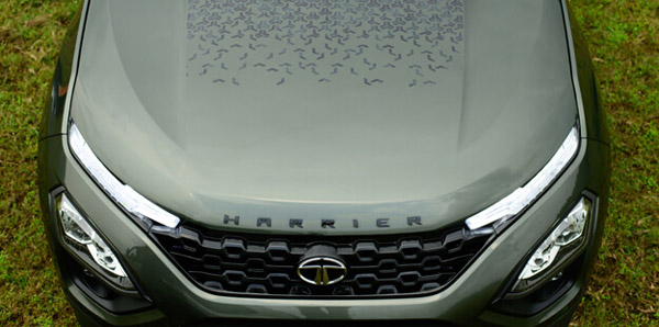 Tata Punch Camo Edition Launched At Rs 6.85 Lakh - Green Shade, Camouflage Seats & More