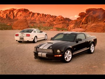 2007 Ford Shelby Mustang GT