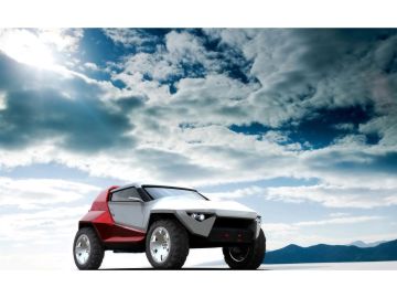 2009 Fornasari Buggy