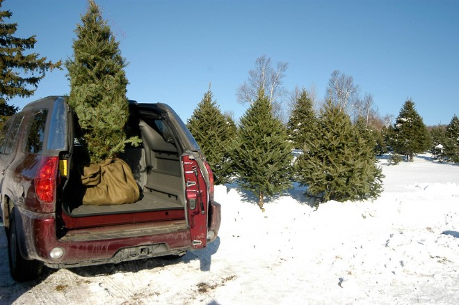 2004 GMC Envoy Wallpapers