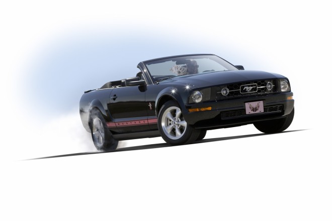 2008 Ford Mustang WIP Wallpapers