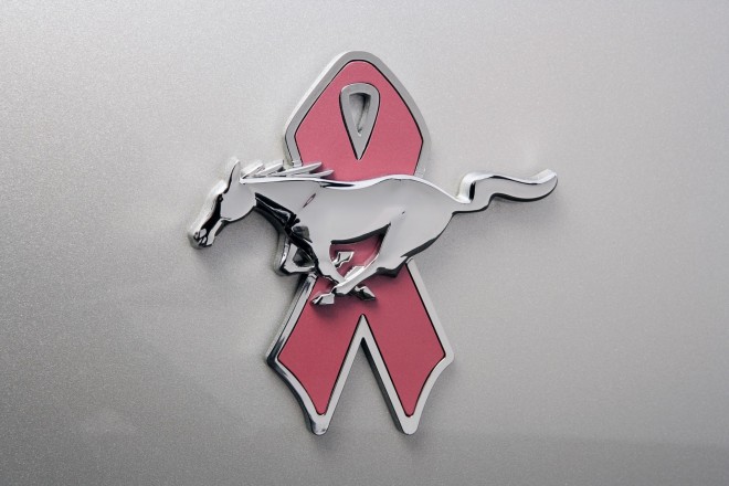 2009 Ford Mustang WIP Wallpapers