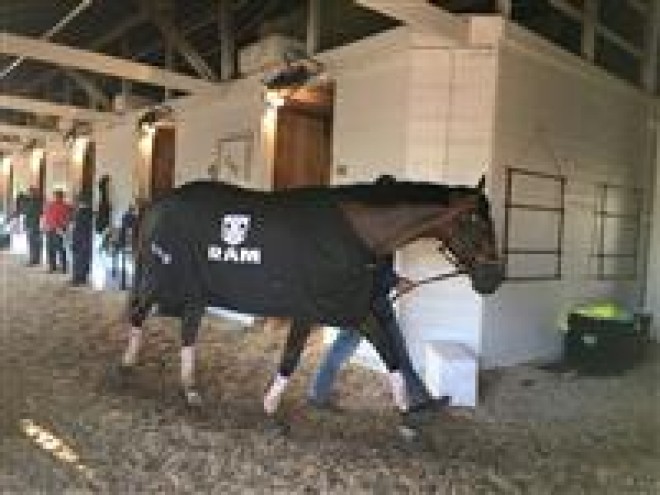 2019 Ram 1500 Kentucky Derby Edition Wallpapers