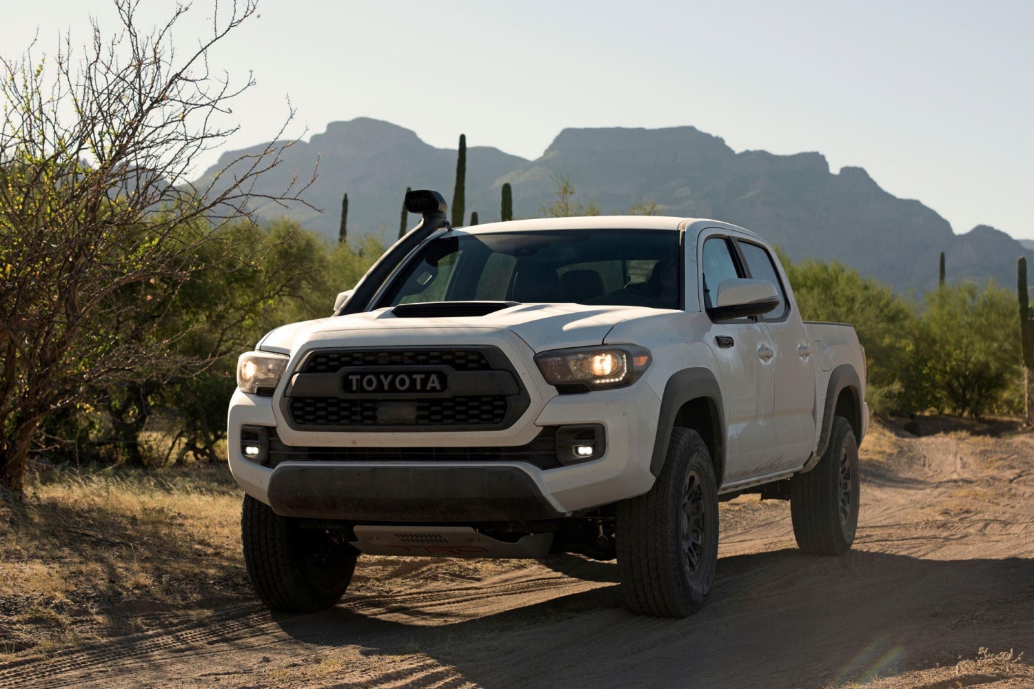 2019 Toyota Tacoma Trd Pro Wallpapers Hd Drivespark